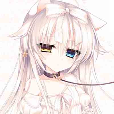 理想状态下字母圈Dom的优秀品质