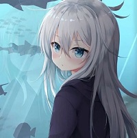 字母圈K8亚文化抖m交友K9