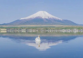 日本字母圈女s东京女m绳艺kb大阪k9横滨sp 日本字母圈女s东京女m绳艺kb大阪k9横滨sp