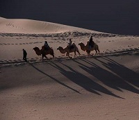 甘肃字母圈女s兰州女m绳艺kb嘉峪关k9金昌sp 甘肃字母圈女s兰州女m绳艺kb嘉峪关k9金昌sp